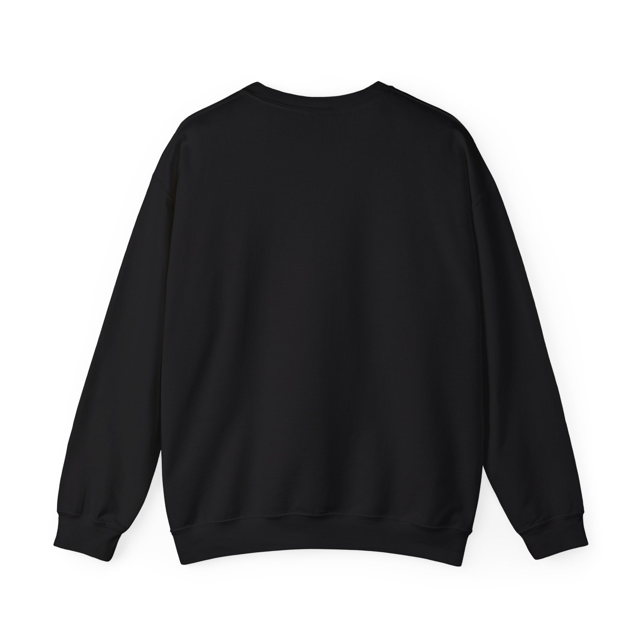 Chayo Nash Pullover Sweater